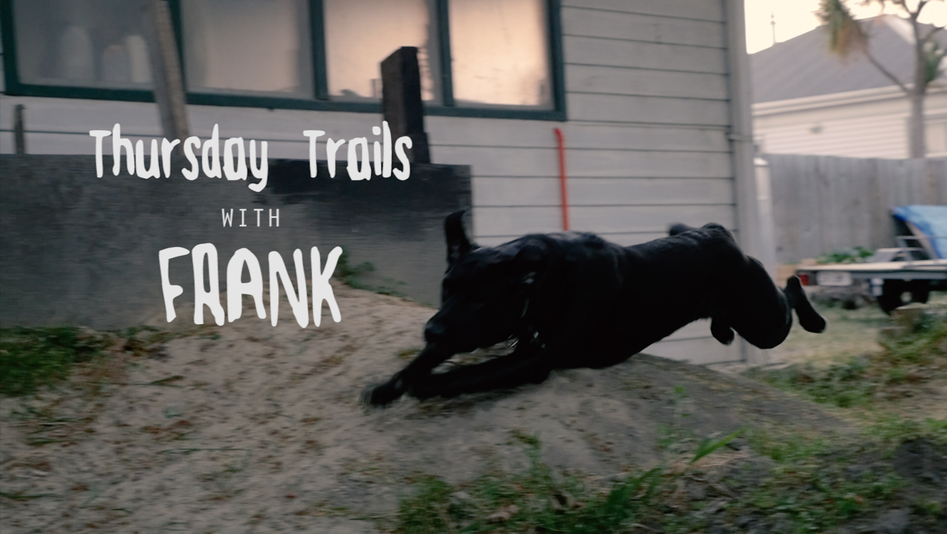 Doggy Downhill with Frank