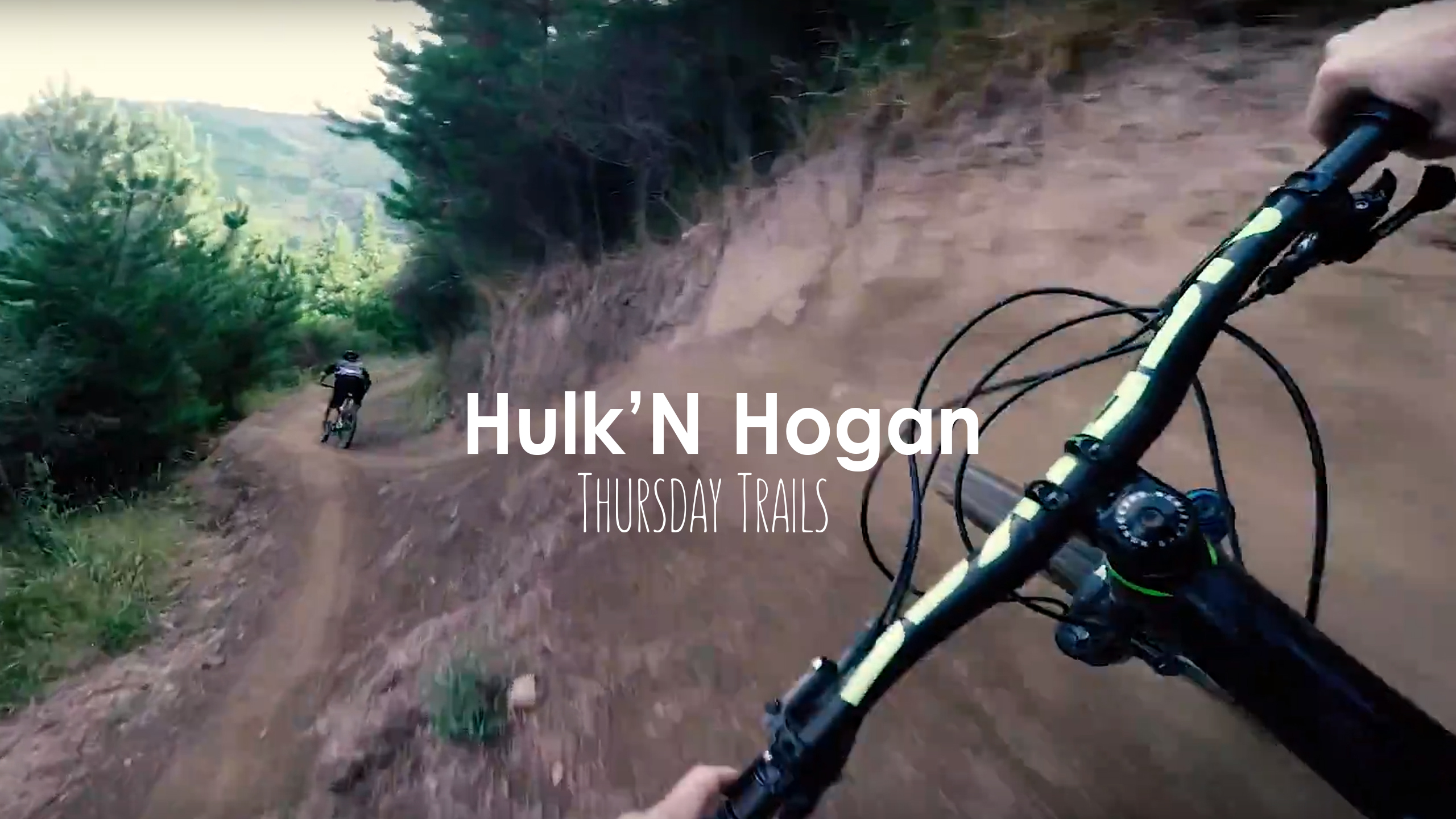 Hulk’n Hogan – Codgers Mountain Bike Park, Nelson – New Zealand